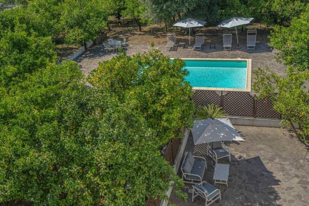 Casa Gege', For Up To 5 Guests, Shared Pool, Sorrento Center Διαμέρισμα Εξωτερικό φωτογραφία